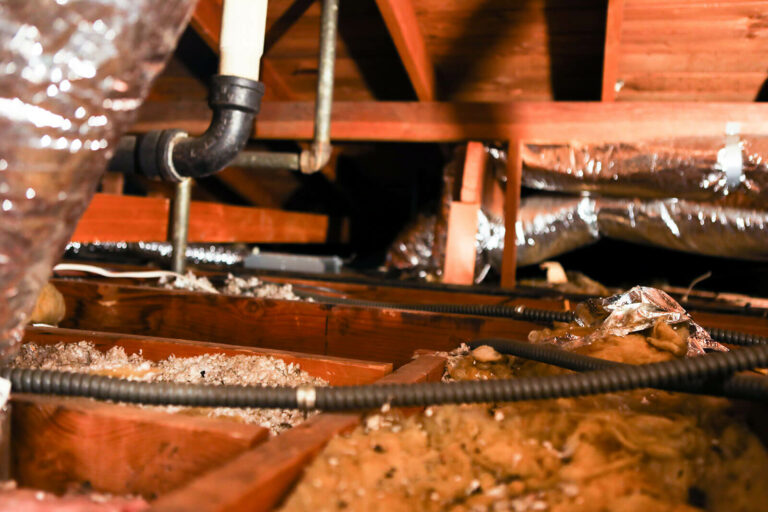 Gallery Rodent Control in Los Angeles, CA Rodent Control Near Me