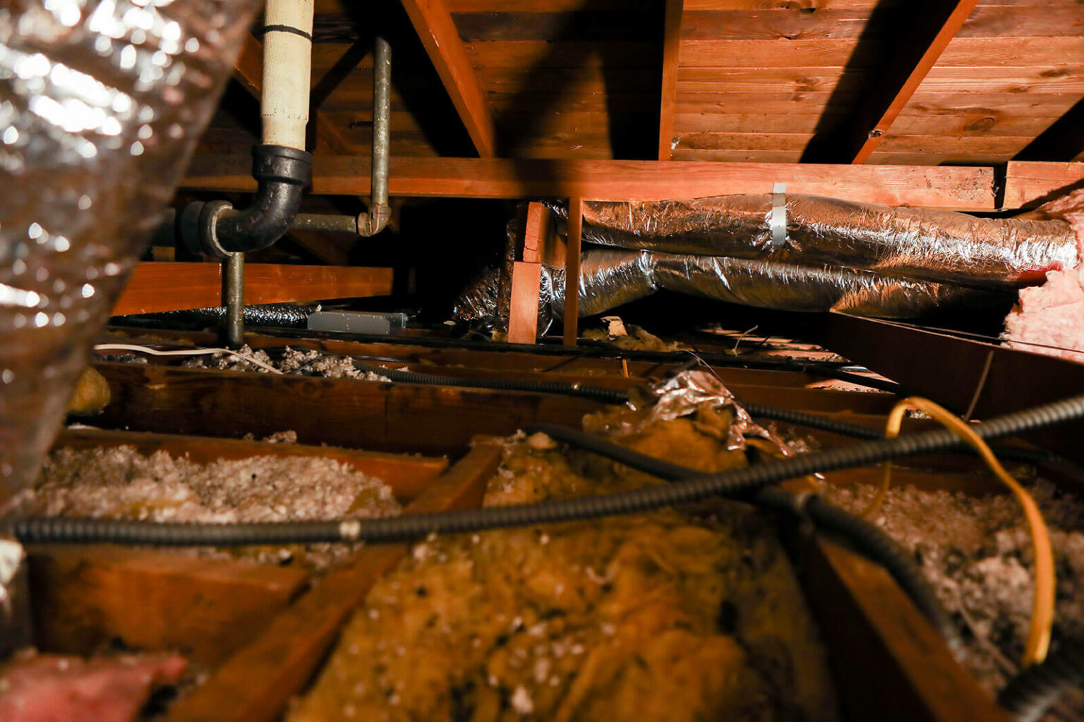 Gallery Rodent Control in Los Angeles, CA Rodent Control Near Me