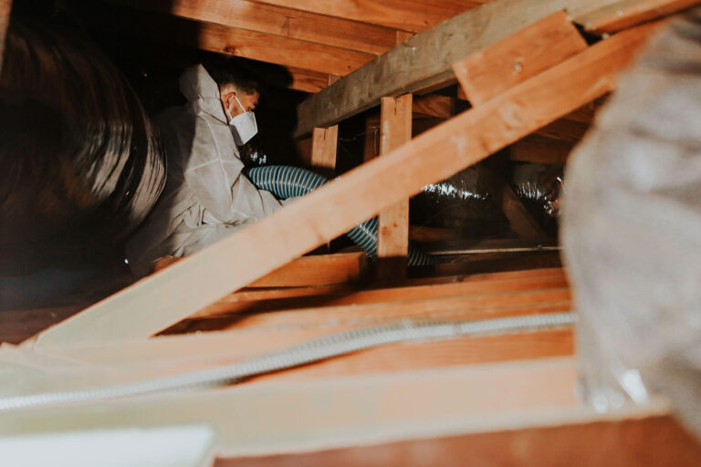 Attic insulation replacement