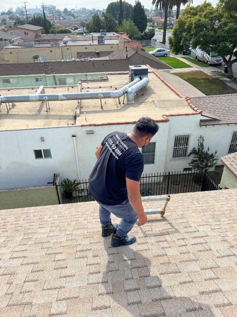 Roof rodent inspection Service