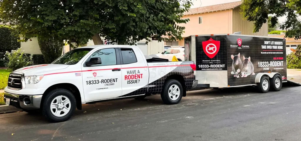 Certified Rodent Control and Exterminator