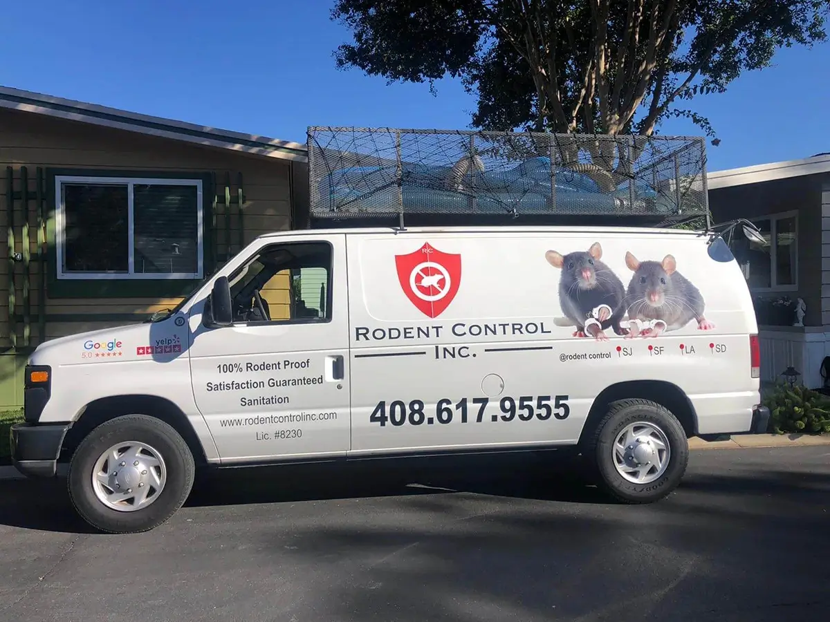 Orange County Rodent Removal | Fast Rat Control Services